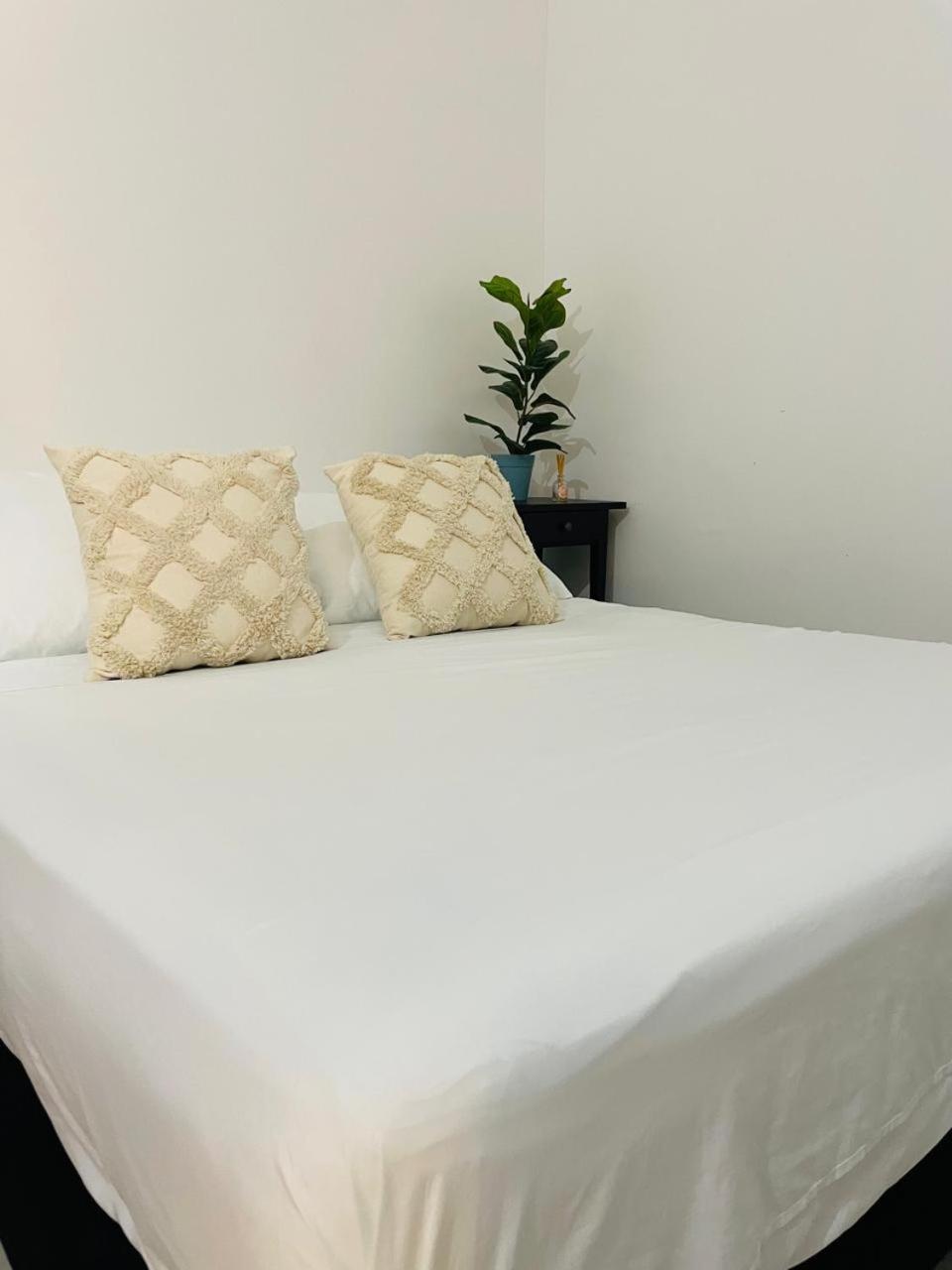Hostal 1545 Riohacha Room photo